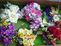 http://images.google.no/images?q=tbn:sA4WT6Eqe5t_8M:www.darrenbarefoot.com/flowers/images/ChurchStreetFlowers.JPG